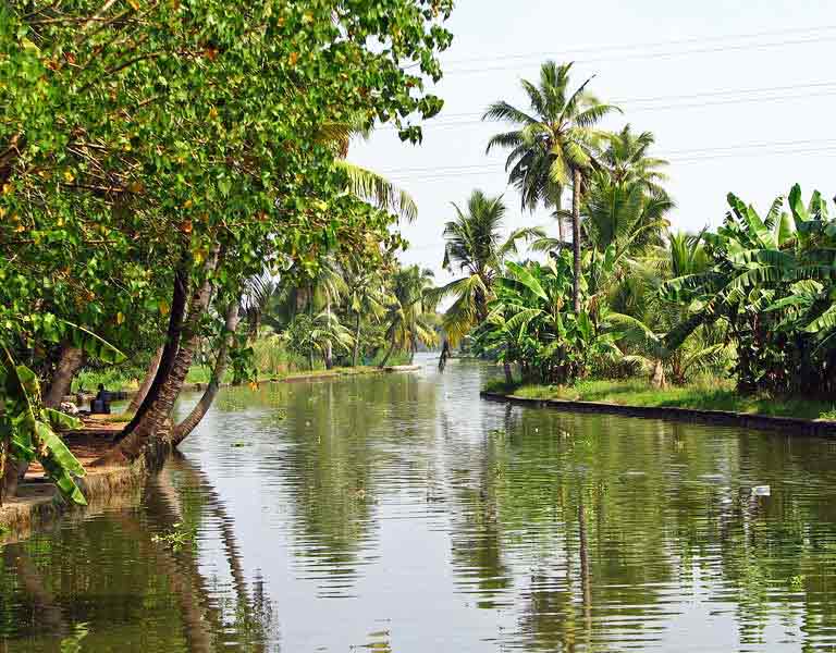 Kozhikode