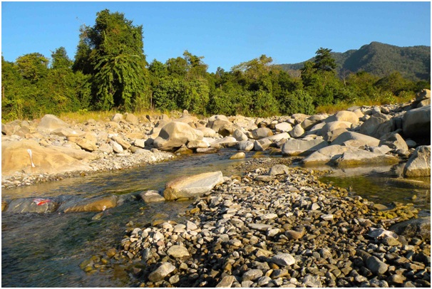 Manas national park